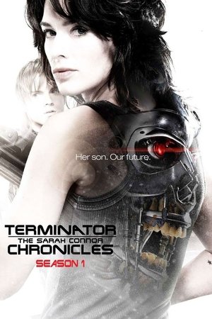 Poster for Terminator: The Sarah Connor Chronicles: Season 1