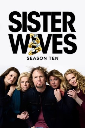 Poster for Sister Wives: Season 7