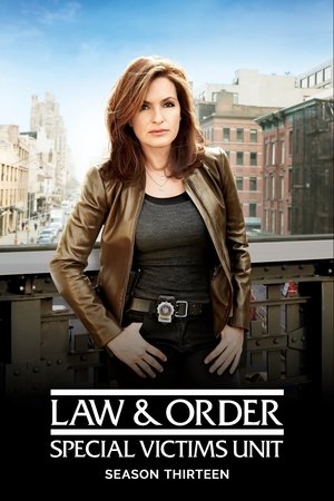 Poster for Law & Order: Special Victims Unit