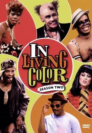 Poster for In Living Color: Season 2