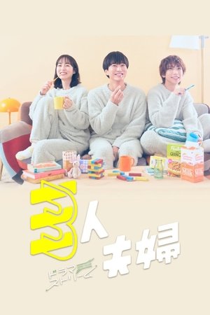 Poster for Two Husbands One Wife: Season 1