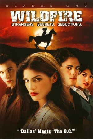 Poster for Wildfire: Season 1