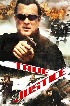 Poster for True Justice: Season 1