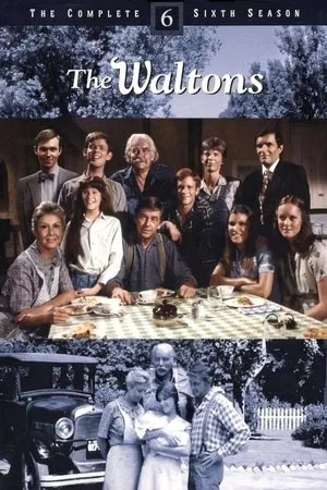 Poster for The Waltons: Season 6