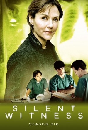 Poster for Silent Witness: Series 6