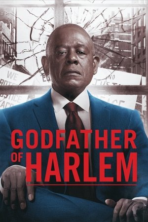 Poster for Godfather of Harlem: Season 2