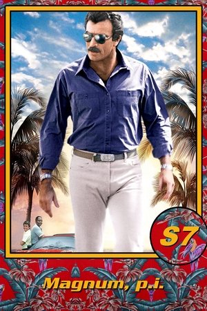 Poster for Magnum, P.I.: Season 7