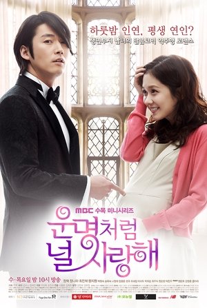 Poster for Fated to Love You: Season 1