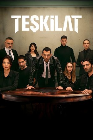 Poster for The Shadow Team: Season 4