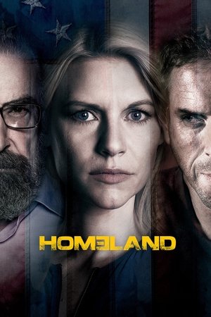 Poster for Homeland: Season 3