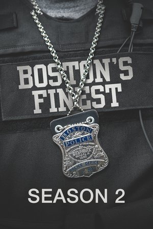 Poster for Boston's Finest: Season 2