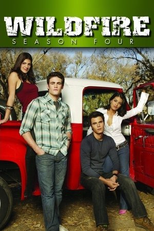 Poster for Wildfire: Season 4