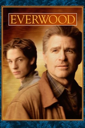 Poster for Everwood: Season 1