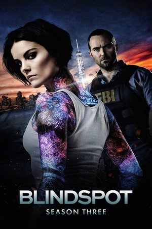 Poster for Blindspot: Season 3