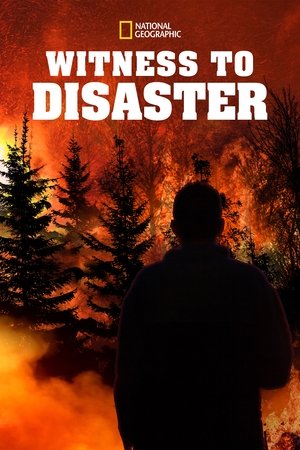 Poster for Witness to Disaster: Season 1