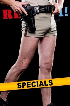 Poster for Reno 911!: Specials