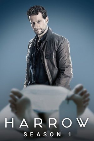 Poster for Harrow: Season 1