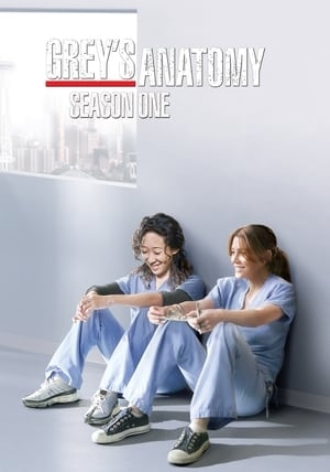 Poster for Grey's Anatomy: Season 1