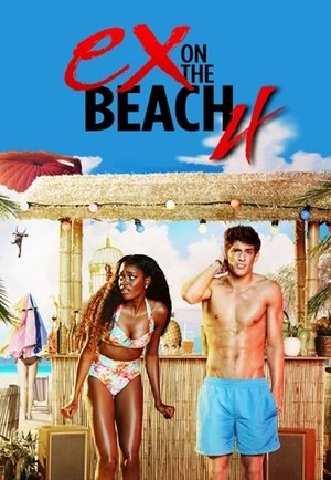 Poster for Ex on the Beach: Season 4
