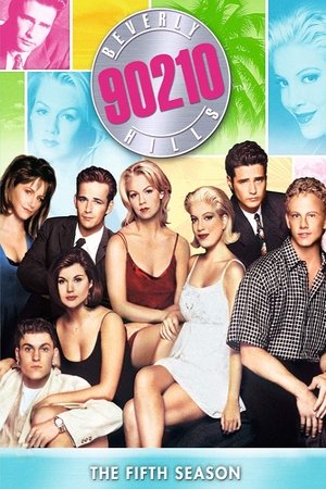 Poster for Beverly Hills, 90210: Season 5