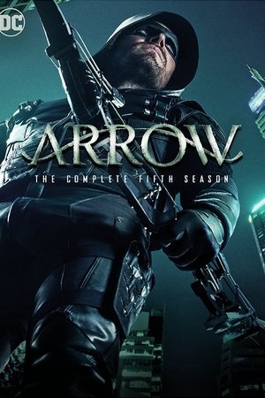 Poster for Arrow: Season 5