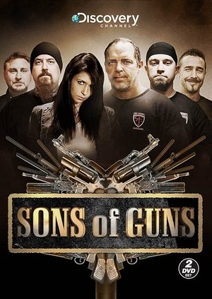 Poster for Sons of Guns: Season 1