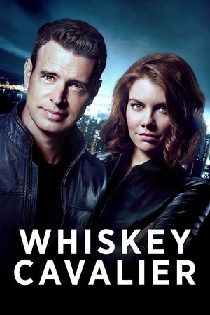 Poster for Whiskey Cavalier: Season 1