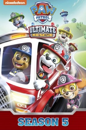 Poster for PAW Patrol: Season 5