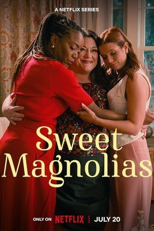 Poster for Sweet Magnolias: Season 3