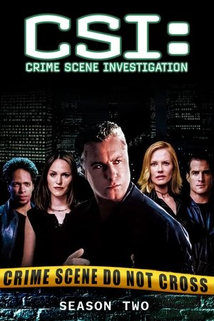 Poster for CSI: Crime Scene Investigation: Season 2