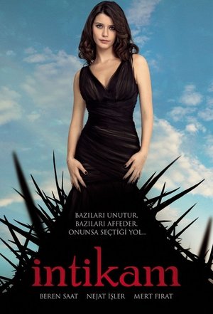 Poster for İntikam: Season 1