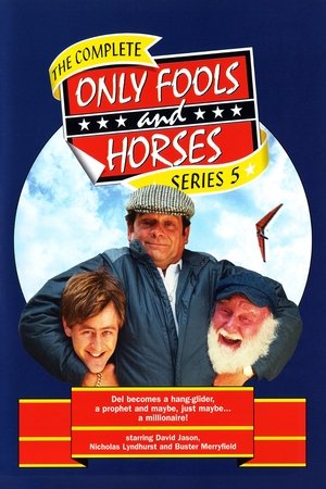 Poster for Only Fools and Horses: Series 5