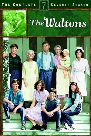Poster for The Waltons: Season 7