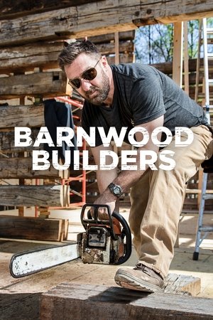Poster for Barnwood Builders: Season 10