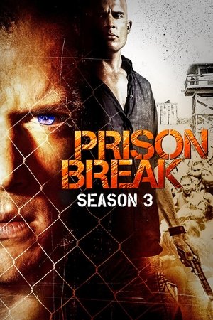 Poster for Prison Break