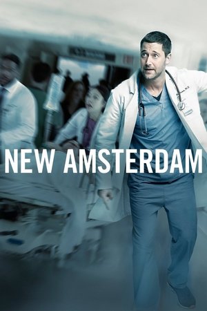Poster for New Amsterdam: Season 1