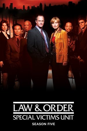 Poster for Law & Order: Special Victims Unit: Season 5