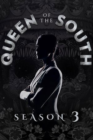 Poster for Queen of the South: Season 3