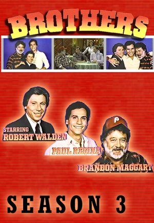 Poster for Brothers: Season 3