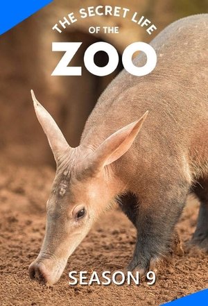 Poster for The Secret Life of the Zoo: Season 9