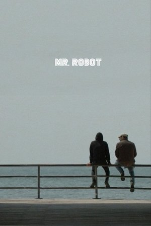 Poster for Mr. Robot