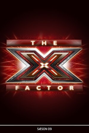 Poster for X Factor (DK): Season 9