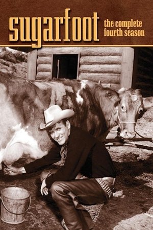 Poster for Sugarfoot: Season 4