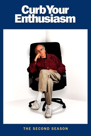 Poster for Curb Your Enthusiasm: Season 2