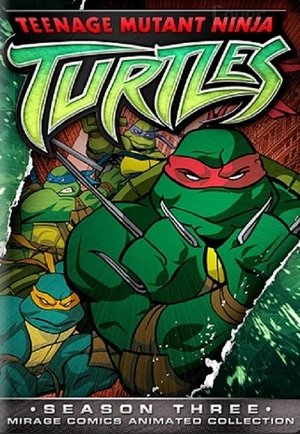 Poster for Teenage Mutant Ninja Turtles: Season 3