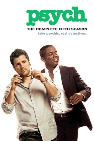 Poster for Psych: Season 5