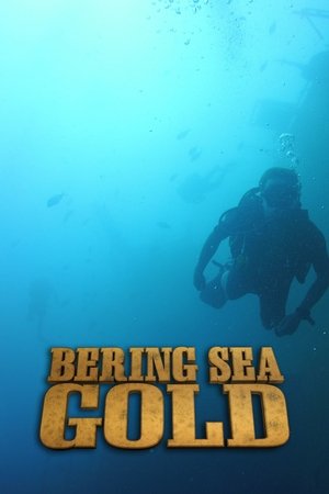 Poster for Bering Sea Gold: Season 2