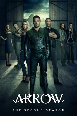 Poster for Arrow: Season 2