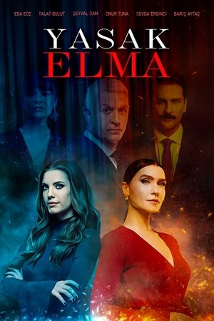 Poster for Yasak Elma: Season 6