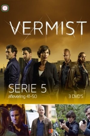 Poster for Vermist: Season 5